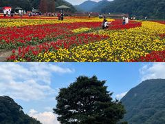 -广州市石门国家森林公园