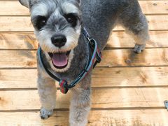 -塞上渔乡·农家菜·虹鳟鱼