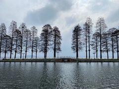 -东湖生态旅游风景区