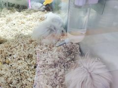 -鹏欣水游城
