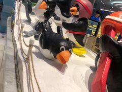 -帝企鹅自助餐厅•儿童岛•真企鹅(长隆企鹅酒店)