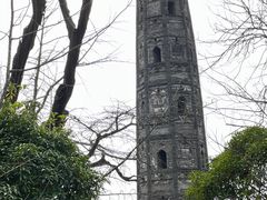 -上海佘山国家森林公园天马山园