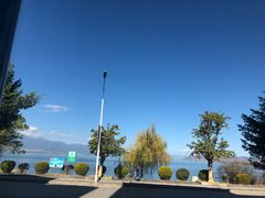 -野菌皇海景野生菌火锅(滨海大道店)
