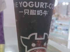 -一只酸奶牛(来福士店)