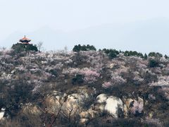 -白水寺森林公园