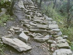 -终南山国家森林公园