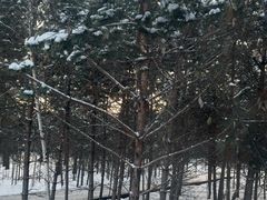 -北极村旅游风景区