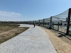 -盐城丹顶鹤湿地生态旅游区