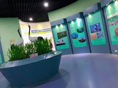 -盐城丹顶鹤湿地生态旅游区