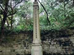-灵谷景区
