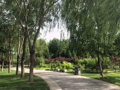 -北坞公园