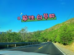 -白草畔自然风景区