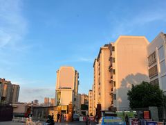 -顺城金记卤鸡·清真