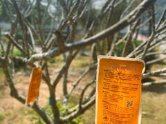 -中山大学附属第五医院