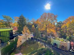 -三鹰之森吉卜力美术馆