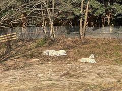 -宁波野生动物园