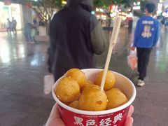 -黑色经典臭豆腐·湖南特产(坡子街店)