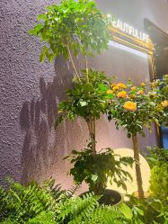 -花隐·美芙炫海菲秀皮肤管理中心