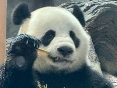 -武汉动物园