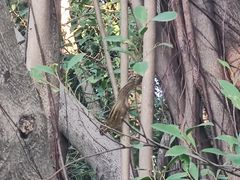-云溪植物园
