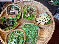 -滇野云南野生菌餐厅(陕西南路店)