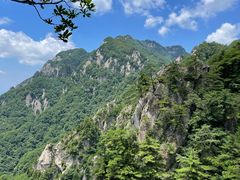 -王顺山国家森林公园