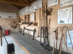 -千年银杏谷文化旅游区