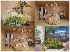 -马家斑.鲜鱼火锅(松湖万科店)
