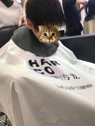 -Hair Co.一间沙龙