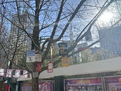 -清华大学附属小学商务中心区实验小学