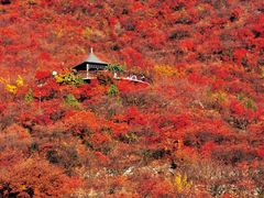 -周口店坡峰岭风景区