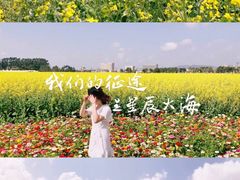 -光明小镇欢乐田园