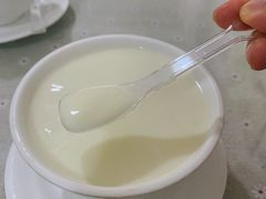 -老周记顺德双皮奶