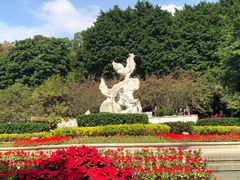 -金鸡山公园