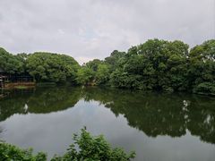 -张鸟园农家乐(张鸟园店)