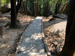 -火炉山森林公园