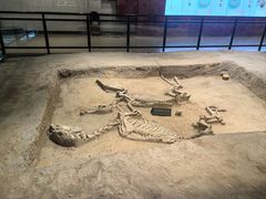 -洛阳周王城天子驾六博物馆