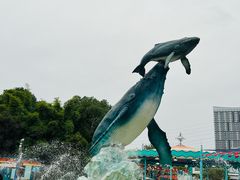 -海合安武汉极地海洋公园