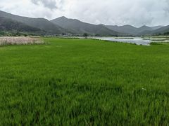 -泸沽湖国家级风景名胜区走婚桥