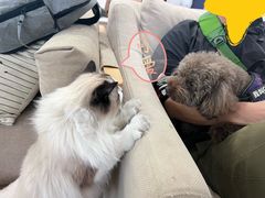 -iF摄影•全家福•证件照•形象照(南山店)