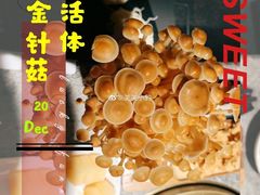 -麻路成都火锅(柏威年店)