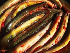 -铜元老码头鳝鱼火锅