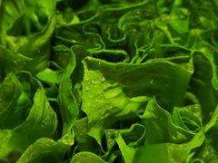 -海底捞火锅(塘厦天虹店)