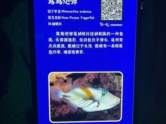 -福州罗源湾海洋世界旅游区