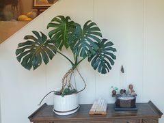 -莱蔻·圣灸堂·推拿艾灸(天山店)