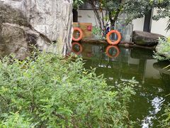 -瑞丰园庭院餐厅·白族传统家常菜
