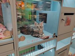 -FAELING PETS美天灵宠物(合生汇店)