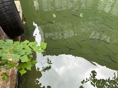 -75幢私房菜馆