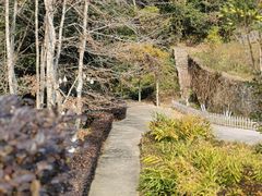-韶关经律论国际酒店温泉