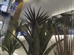 -兰湘子·湘菜小炒(崂山丽达店)